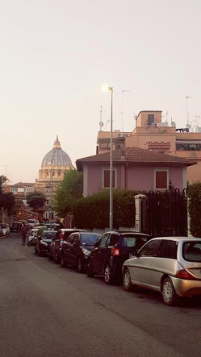 Un bellissimo nido a S.Pietro